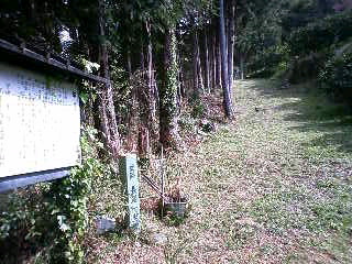 d0163834_212438.jpg