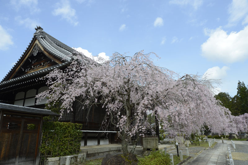 b0042837_5282783.jpg