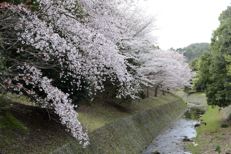 b0042837_5295791.jpg