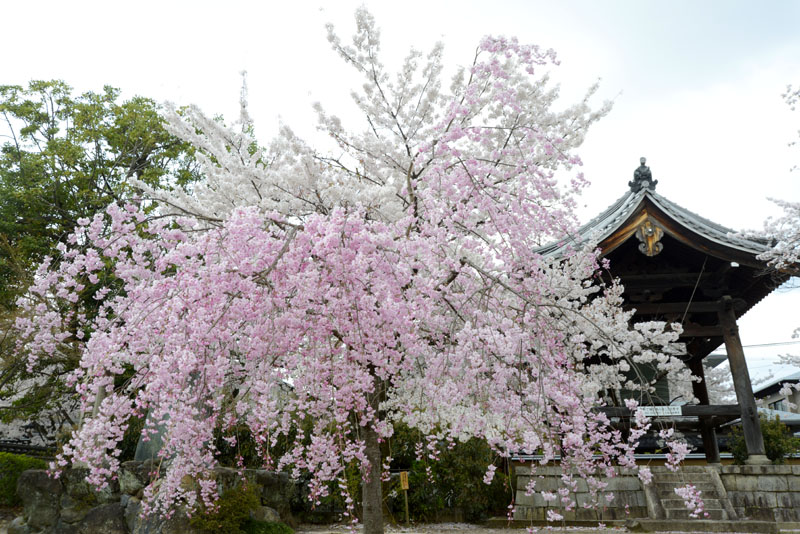 b0042837_5333424.jpg