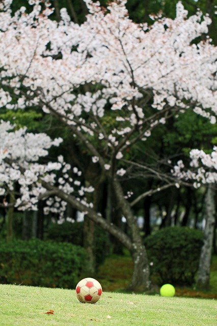 a0242438_18181279.jpg