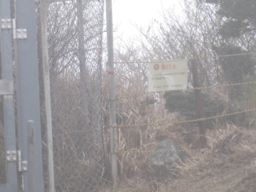 c0077338_2093335.jpg
