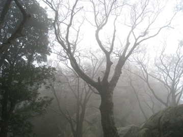 c0077338_209949.jpg