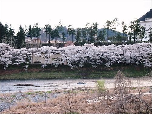 e0022839_1222576.jpg