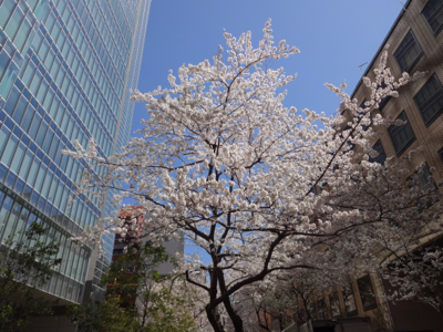 f0141840_01403163.jpg