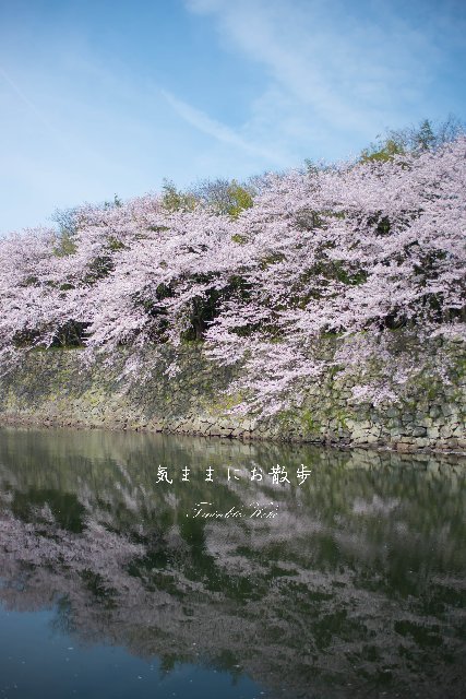 f0158043_21444046.jpg
