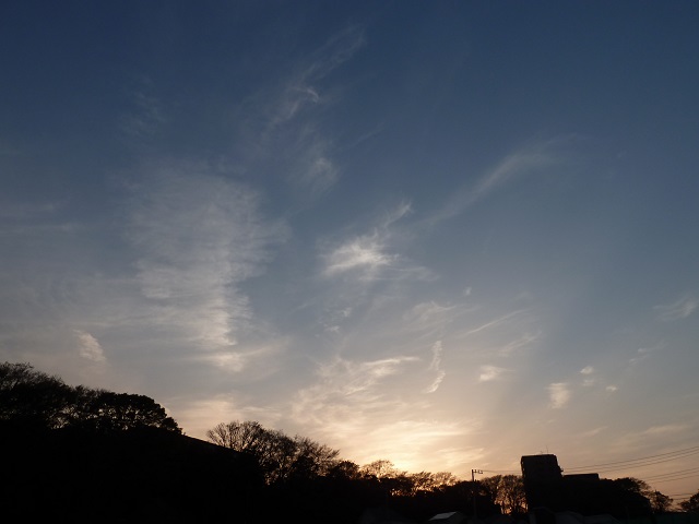 d0288144_12483492.jpg