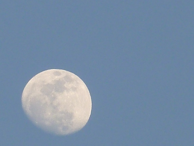 d0288144_12484562.jpg