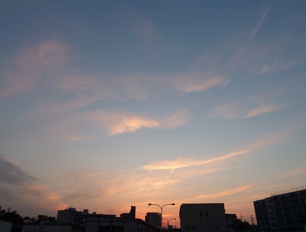 d0288144_12491907.jpg
