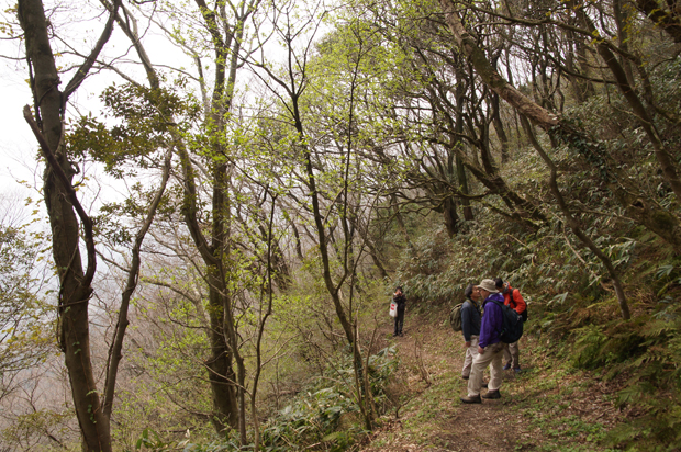 f0214649_10202458.jpg