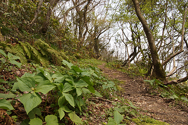 f0214649_10265517.jpg