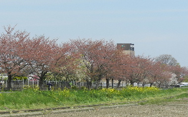 e0172950_2072532.jpg