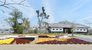 e0172950_2083399.jpg