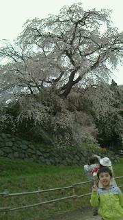 b0143454_19271821.jpg