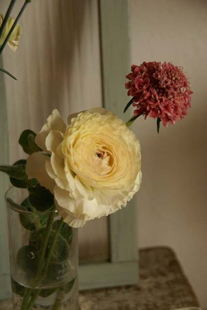 a0094058_14123849.jpg