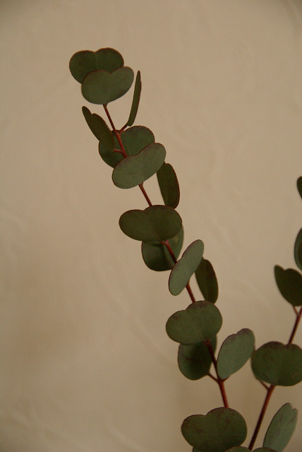 a0094058_14131541.jpg