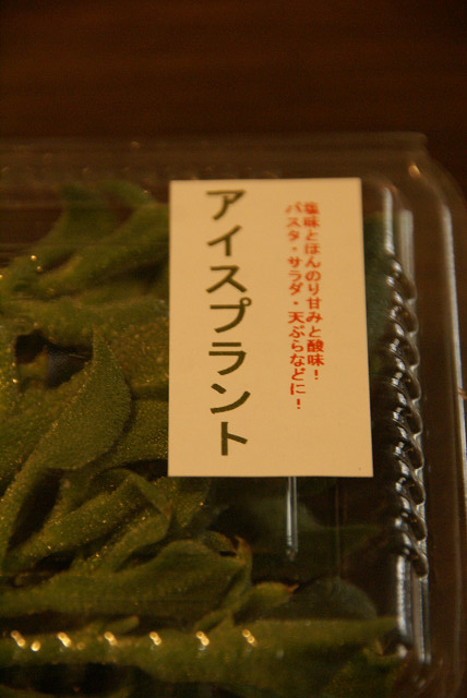 a0094058_14242649.jpg