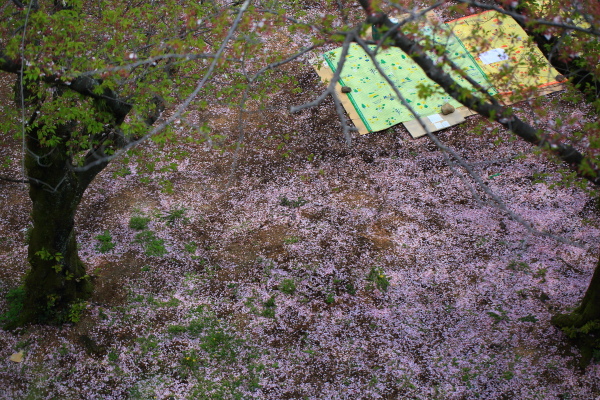 d0032258_09194033.jpg