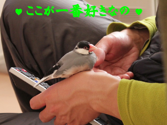 b0158061_21101039.jpg