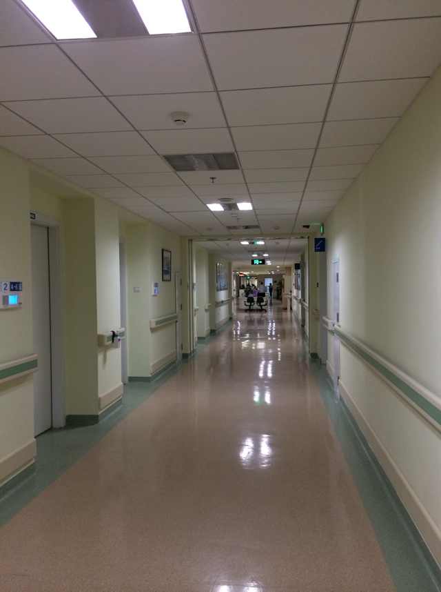 f0056261_18584353.jpg