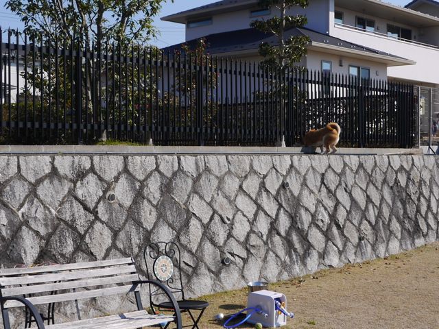 f0177261_1133356.jpg