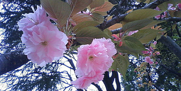 b0089062_22175670.jpg