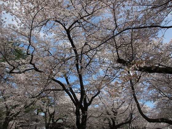 b0145863_0432963.jpg