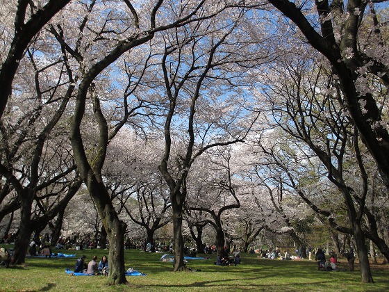 b0145863_0443840.jpg