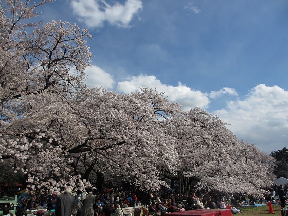 b0145863_044810.jpg