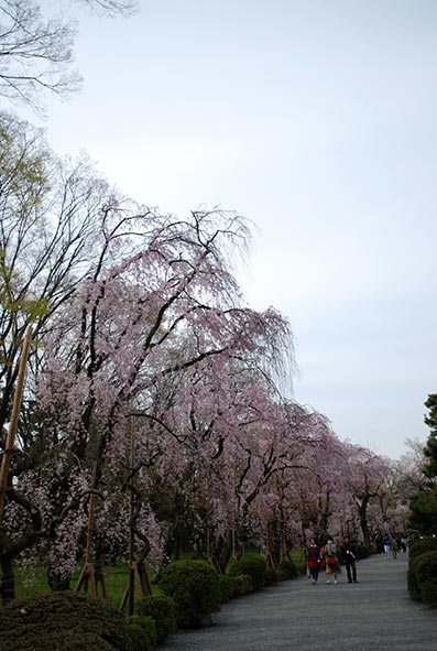 b0059664_17293463.jpg