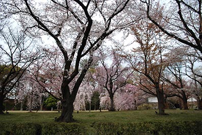 b0059664_17294140.jpg