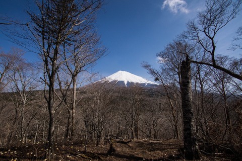 c0260264_3231520.jpg