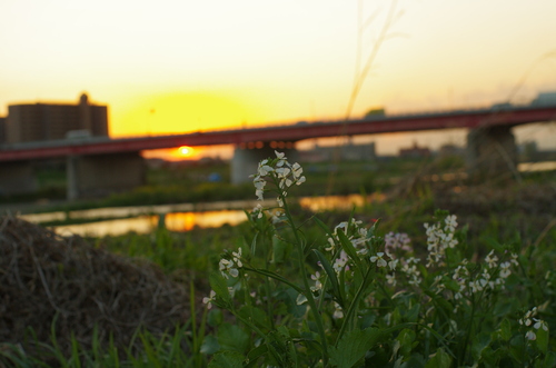 c0298565_763874.jpg