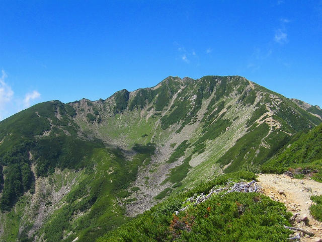 c0219866_1612401.jpg