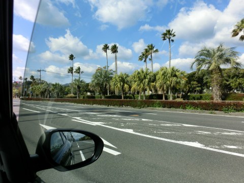 e0045768_223908.jpg