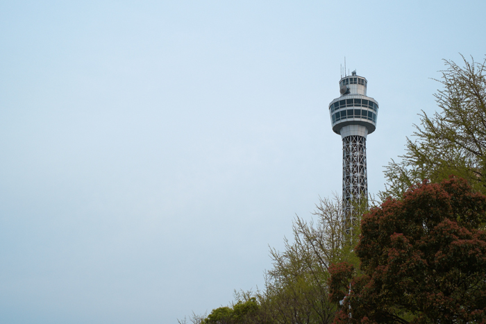 e0038669_239133.jpg