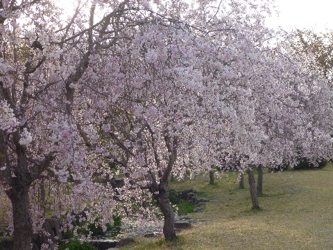e0161972_14444021.jpg
