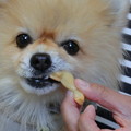 e0330372_2105052.jpg