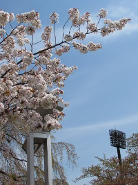b0004675_20543645.jpg