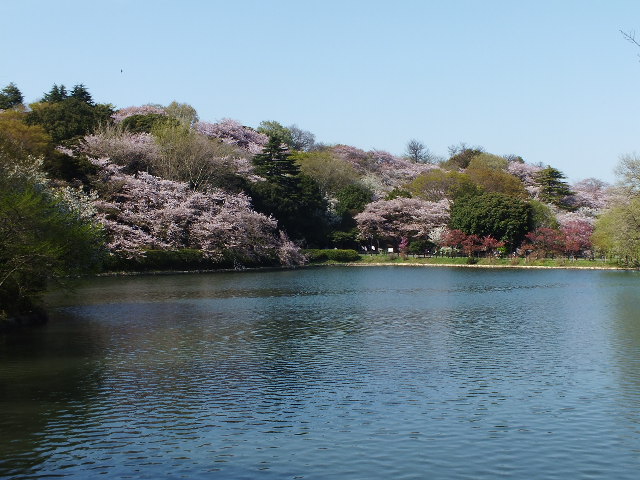 e0145782_653989.jpg