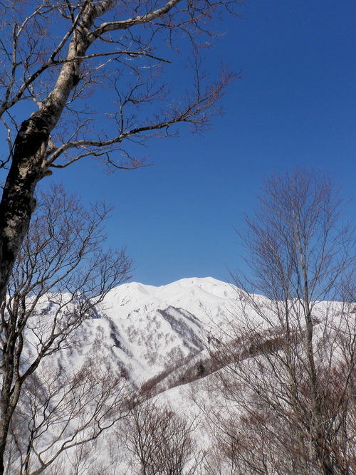 d0242287_23132334.jpg