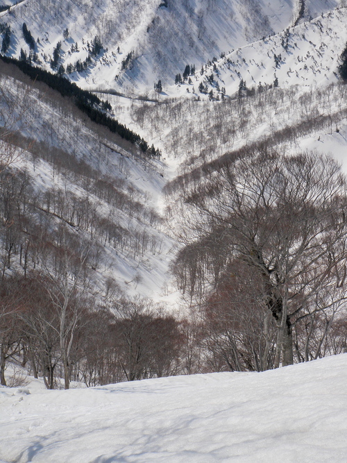 d0242287_23464881.jpg