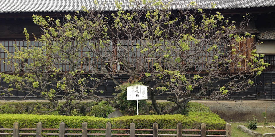 c0170789_22062466.jpg