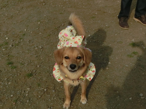 a0319693_9202570.jpg
