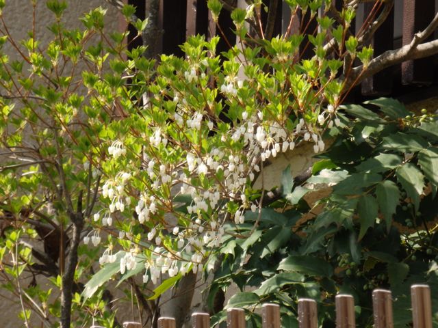 f0130894_21504377.jpg
