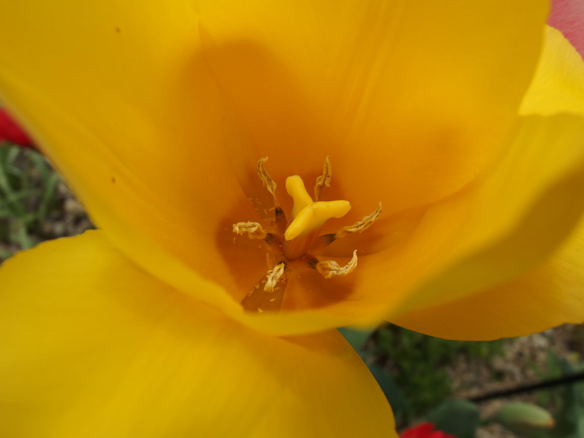 b0165802_031254.jpg