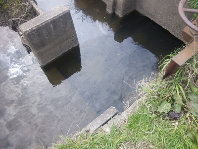 f0082402_21134558.jpg