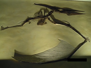 e0144903_14143317.jpg