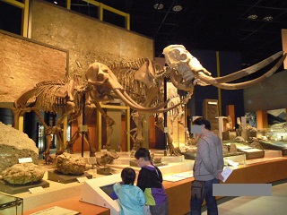 e0144903_14235295.jpg