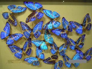 e0144903_14273764.jpg